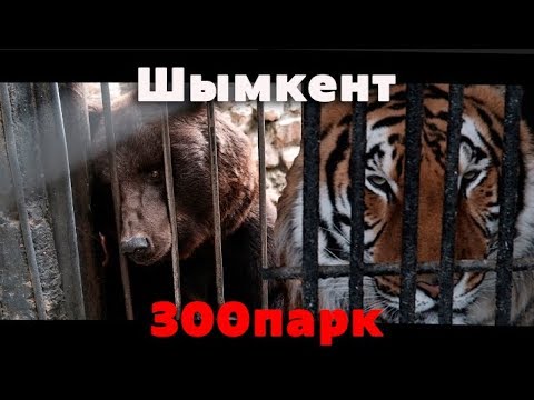 Видео: Кой зоопарк в Казахстан е най-големият