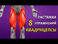 УПРАЖНЕНИЯ НА РАСТЯЖКУ. МЫШЦЫ НОГ (КВАДРИЦЕПСЫ)