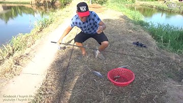 CÂU CÁ RÔ PHI BẰNG MỒI TÉP | HUYNH KHOA FISHING