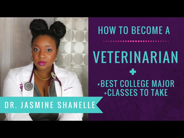 Uncover the Path to Veterinary Expertise: Unlocking the Educational Secrets 3 sddefault