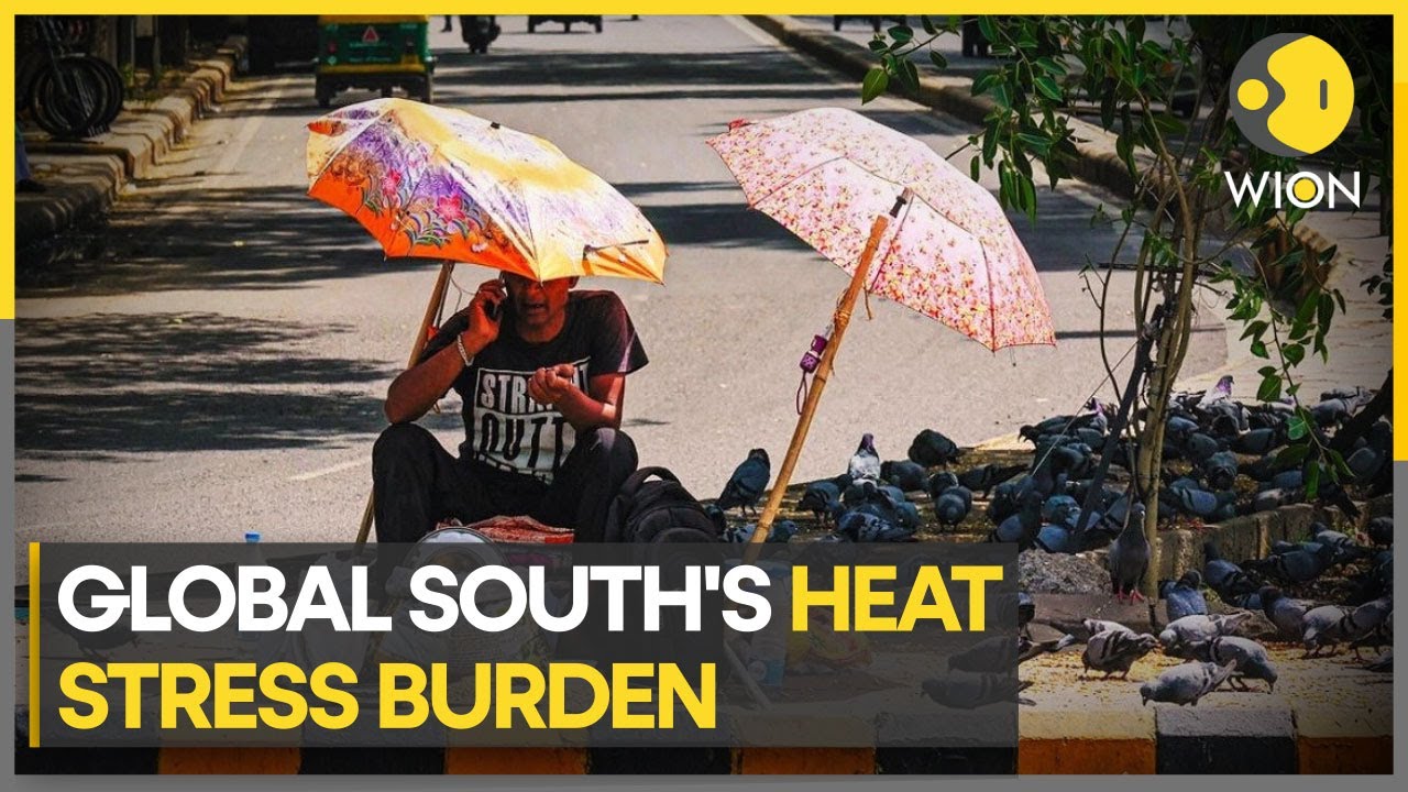 Humidity increases urban heat stress | WION Climate Tracker | Latest World News | English News