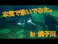 [オノスの日記] 日本一綺麗な川でFINを付けて泳いだら最高だった。