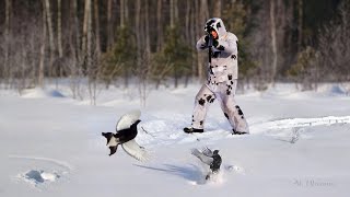 Зимняя охота на тетерева на лунках. A Winter Black Grouse Hunt