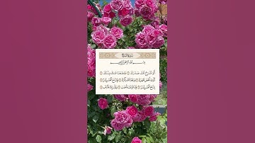 سورة الشرح🩷🤍 #القرآن_الكريم #المصحف #سورة_الشرح