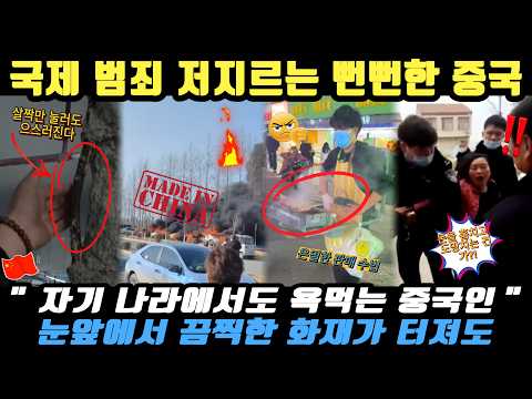 중국반응ㅣ대낮 절도 일상에 외국인한테 혼나는 현지인… 기막힌 대륙의 총체적 난국 💥