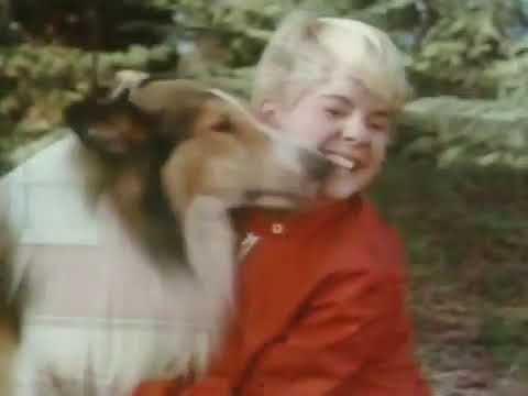 Video Lassie | La casa degli Hanford (1968) | Film completo in italiano