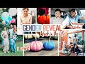 A Week in My Life: GENDER REVEAL, 20 week ultrasound, + telling our families | Mennonite Mom Life