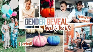 A Week in My Life: GENDER REVEAL, 20 week ultrasound, + telling our families | Mennonite Mom Life