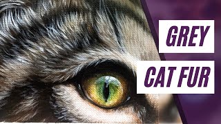 How To Paint Gray CAT FUR