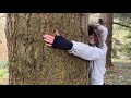 asmr explorando un parque natural