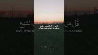 Surah Muminun ✨Reciters Yaseer Al-Dosariy 🎙️ #quran #islam #quranrecitation #qurantilawat #muminun