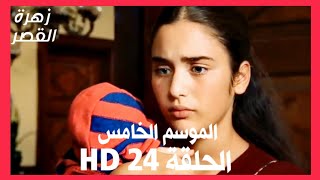 مسلسل زهرة القصر الموسم الخامس الحلقة 24 HD