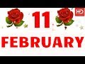 11 FEBRUARY Special New Birthday Status Video , happy birthday wishes, birthday msg quotes जन्मदिन