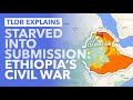 Ethiopia's Civil War: The Government Using Starvation as a Weapon Against Tigrayans? - TLDR News