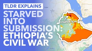 Ethiopia's Civil War: The Government Using Starvation as a Weapon Against Tigrayans? - TLDR News