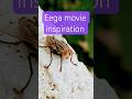 Eega Movie Hero In The Garden Eega Movie Was A Great Hit Hats Off To Rajamouli Sir And Team Eega Movie Hero In The Garden Eega Movie Was A Great Hit Hats Off To Rajamouli Sir And Team