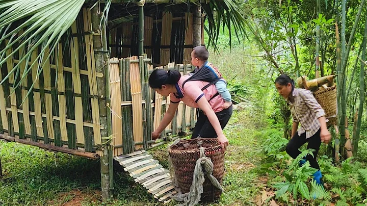 Building a Small Bamboo Hut in the Forest – Single Mom Does Everything to Raise Her Child