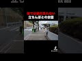 過去一バズった