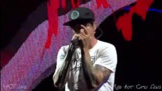 Red Hot Chili Peppers - I'm With You live album (2011-2017) [REUPLOADED]