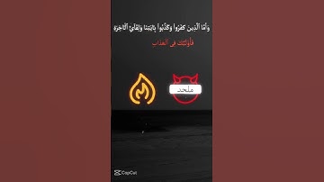 القرآن الكريم ❤️ #fortnite #اكسبلور #النظافه #دويتو #المراه #الوكره #حالات_واتس #اعتني #راحة_نفسية