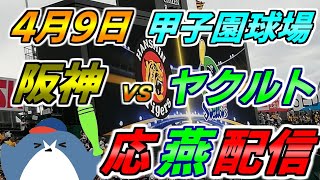 リーグ戦【阪神タイガース × ヤクルトスワローズ】2025.4.9 応燕配信 ヤクルトライブ @ 甲子園球場