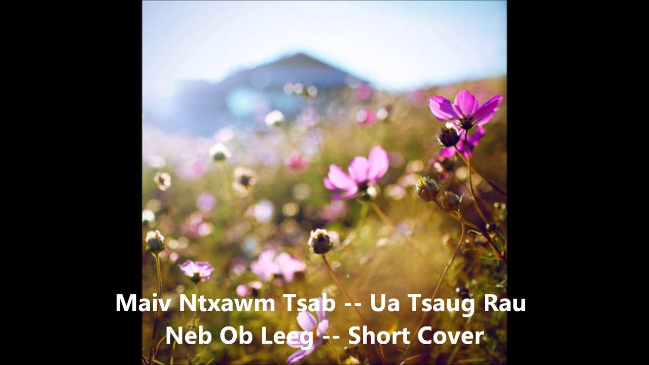 Ua Tsaug Rau Neb Ob Leeg