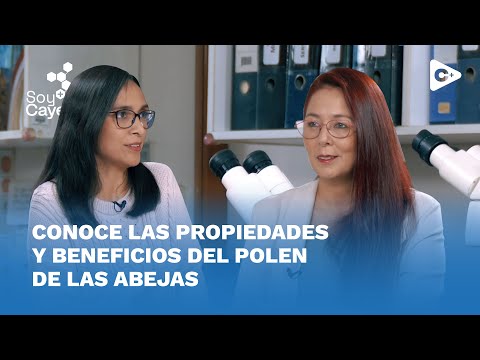 SOY CAYETANO: CONOCE LAS PROPIEDADES Y BENEFICIOS DEL POLEN DE LAS ABEJAS