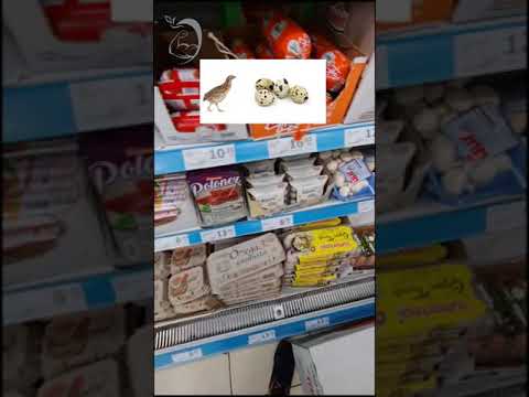 بيض السمان اسطنبول تركيا دايت