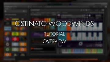 Ostinato Woodwinds Tutorial - Overview