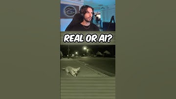 Is this chihuahua Real or Ai? #reaction #ai #real #streamer