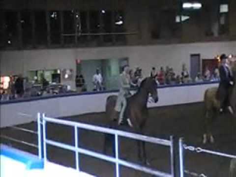 MHSA Kick-Off Horse Show: Class 71; UPHA Pleasure ...