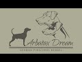 Allevamento Arbatax Dream German pinscher の動画、YouTube動画。