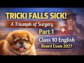 Tricki Falls Sick – A Triumph of Surgery Part 1 Full Explanation | Class 10 English 2027