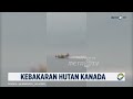 Aksi Water Bomber Kanada Lawan Kebakaran Hutan yang Meluas