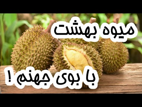 تصویری: چه نوع میوه ای دوریان است؟