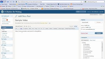 Embed Video into WordPress