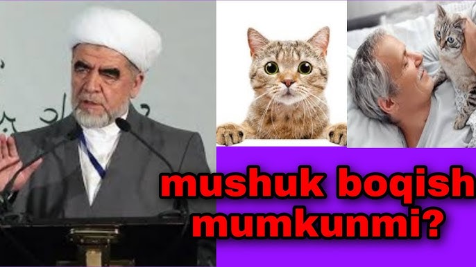 Xolangiz bilan rus pornosini tomosha qiling Yalangoch gozal fotosuratlar