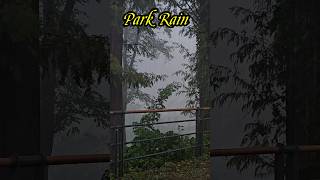 😴 A sudden shower on the park path ☔🎵 #Rain #RainSound
