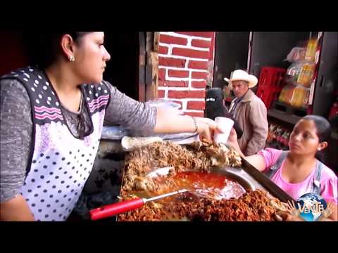 Vente a Temascaltepec Estado de México - Video 2015