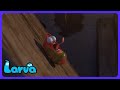 Larva - O Rato Comilão! | Desenhos Infantis | WildBrain Arena de Ação