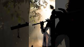 The Breath Of Krishna Bansuri Divine Meditation