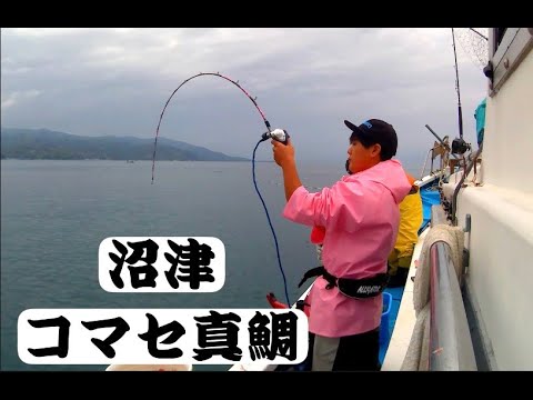 沼津常勝丸 コマセ真鯛 Youtube