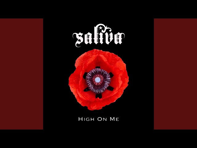 Saliva - High On Me