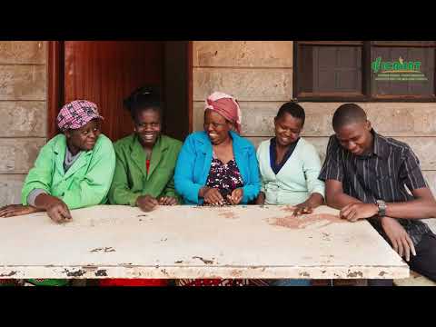 Episode 11 - Millets for Small Business Success