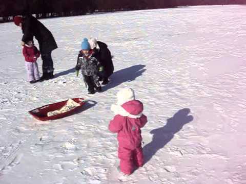 rosalyn sledding 1