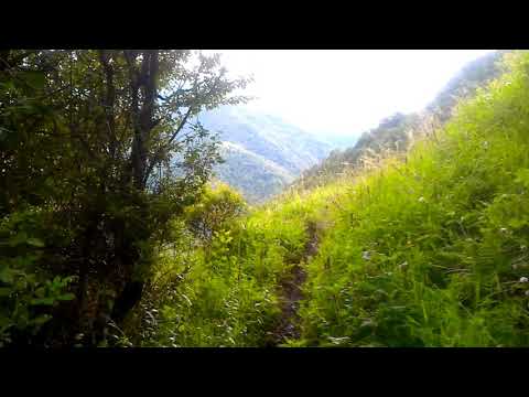 ფშავი. მათურადან მუქოში