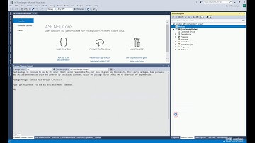 Practicing ASP.NET Core. Create ASP.NET Web API app and class libraries