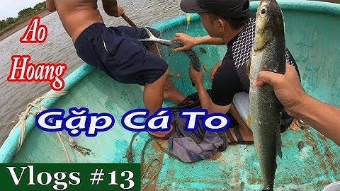 Vlogs #13 | Thả Lưới Trên Ao Cá Bỏ Hoang Nhiều Năm và Cái Kết | Thả Cá Đìa Nước Lợ