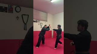 BUDOKAN AREZZO KENPO-AIKIJUTSU &amp; KRAV MAGA. MAESTRO 6° DAN LUCIO PICCIOLI RESPONSABILE NAZIONALE MSP