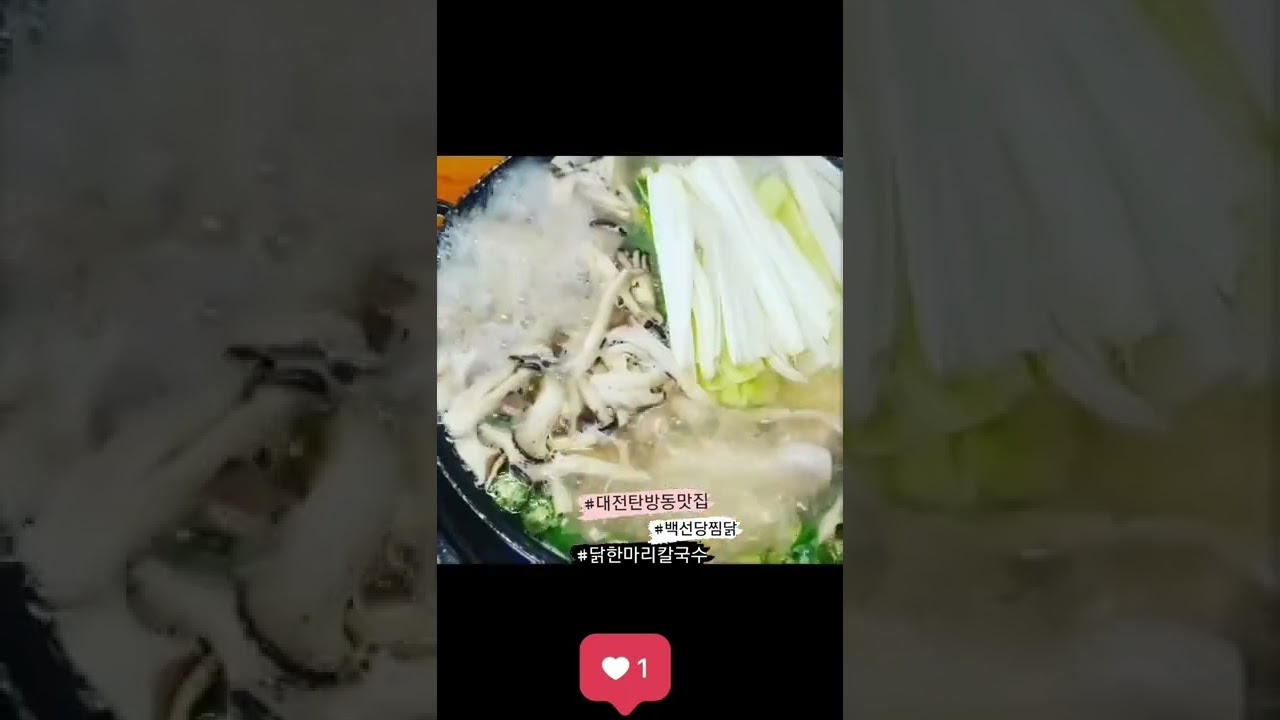 대전 탄방동 맛집 닭한마리칼국수맛집 백선당찜닭